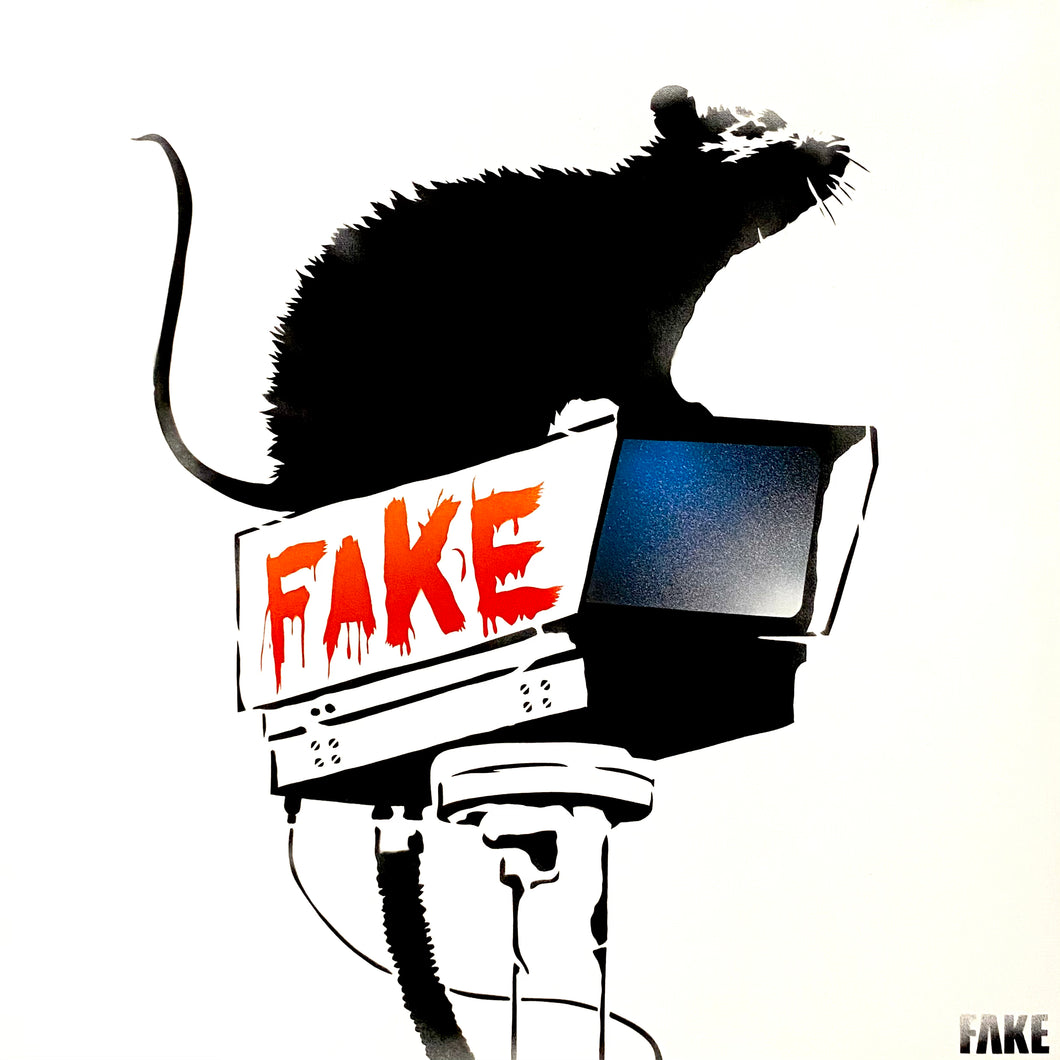 FAKE - RAT CAM