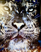 Load image into Gallery viewer, MARTIN WHATSON x SNIK - TIGER
